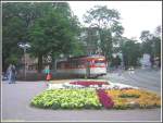 Nachdem sich am 17.06.2007 bei der Abschiedsfahrt fr die Schleife am Prfling der M-m-Zug auf die Rckfahrt in das Depot begeben hatte, fuhr der N-Triebwagen 112 (ex 812 Baujahr 1963 DWAG) zur Wendeschleife am Zoo. Dort ergab sich das Fotomotiv des Triebwagens hinter diesem farbenfrohen Blumenbeet.