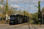 Freiburg Tw 229, Berliner Allee, 12.10.2016.