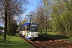 Görlitz Tw 306 in der Lausitzer Straße, 24.04.2016.