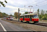 50 Jahre Tatrawagen in Halle (Saale)
Anlässlich ihrer 50-jährigen Betriebszugehörigkeit im halleschen Straßenbahnnetz veranstalten die Halleschen Straßenbahnfreunde e.V. (HSF) gemeinsam mit der Halleschen Verkehrs-AG (HAVAG) einen rund zweistündigen Fahrzeugkorso mit allen vorhandenen Tatrawagen und deren Umbauten im Stadtgebiet von Halle.
Hier fährt Zweirichtungswagen Tatra ZT4D, Wagen 900, der HSF auf der sanierten Strecke zwischen Gimritzer Damm und Weinberg Campus Richtung Haltestelle Heide-Universitätsklinikum.
[7.9.2019 | 9:25 Uhr]