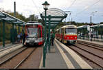 50 Jahre Tatrawagen in Halle (Saale)
Anlässlich ihrer 50-jährigen Betriebszugehörigkeit im halleschen Straßenbahnnetz verkehren alle vorhandenen Tatrawagen und deren Umbauten der Halleschen Straßenbahnfreunde e.V. (HSF) und der Halleschen Verkehrs-AG (HAVAG) an diesem Samstag auf der Sonderlinie 50 zwischen Riebeckplatz und Kröllwitz. Zuvor fand am Vormittag ein Fahrzeugkorso im Stadtgebiet von Halle statt.
Hier trifft Duewag/Siemens MGT6D, Wagen 617, der HAVAG als Linie 7 nach Büschdorf auf Tatra T4D, Wagen 901 mit Beiwagen 101, der HSF in ihrer Starthaltestelle Kröllwitz.
[7.9.2019 | 15:10 Uhr]