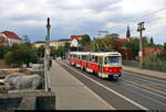 50 Jahre Tatrawagen in Halle (Saale)
Anlässlich ihrer 50-jährigen Betriebszugehörigkeit im halleschen Straßenbahnnetz verkehren alle vorhandenen Tatrawagen und deren Umbauten der Halleschen Straßenbahnfreunde e.V. (HSF) und der Halleschen Verkehrs-AG (HAVAG) an diesem Samstag auf der Sonderlinie 50 zwischen Riebeckplatz und Kröllwitz. Zuvor fand am Vormittag ein Fahrzeugkorso im Stadtgebiet von Halle statt.
Hier befährt Tatra T4D, Wagen 901 mit Beiwagen 101, der HSF auf dem Weg zum Riebeckplatz die Kröllwitzer Brücke (Giebichensteinbrücke), hier zu sehen mit den Pfeilerfiguren  Kuh und Pferd  von Gerhard Marcks.
[7.9.2019 | 15:25 Uhr]