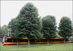 Die Karlsruhe Straßenbahn in Karlsruhe -

Ergänzend zu dem Bild aus Antwerpen eine Aufnahme des jüngsten Straßenbahntyps (NET 2012) in Karlsruhe, hier an der Wendeschleife Tivoli.

26.06.2016 (M)