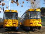 Beiwagen 771 und 772 stehen allein gelassen auf den Abstellgleisen vom Strbf. Dlitz. Schn zu sehen ist wie die Sonne die Schatten der Blttern auf das Heck wirft. 19.10.09