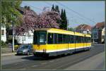 Tw 270 auf der Großenbaumer Straße (28. April 2010)