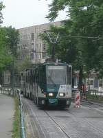 Ein Tatrazug erreicht den Luisenplatz.