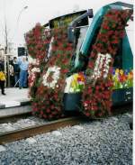 Am 07. April 2001 durchfhrt Combino Tw. 412 des Verkehrsbetriebs in Potsdam (ViP) den Teppich aus Blten und erffnet somit den sogenannten  Buga-Nordast .
 Florian Wamann