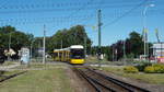 Wagen 0042 (einer der beiden modernen  Flexity ) bestritt am Samstag, den 1. August 2020, den Wochenendverkehr auf der Strausberger Tram-Linie. Naja, eigentlich Strausberger Eisenbahn.
Hier in der Kurve beim Überqueren der  Ernst-Thälmann-Str.  kurz vor der nächsten Station  Hegermühle . Ziel ist der Bahnhof  Strausberg .

Strausberg, der 1. August 2020