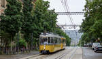 Jeden Sonntag ist es in Stuttgart möglich, auf zwei extra eingerichteten Linien in den Genuss historischer Busse und Bahnen zu kommen.