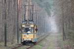 Tw 28 der Woltersdorfer Straßenbahn fährt am 1. April 2014 durch den mystisch wirkenden Wald in Richtung Bahnhof Rahnsdorf.