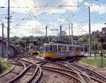 Ich möchte nicht wissen, was die aufwändigen Gleiskonstruktionen in Meter- und Normalspur gekostet haben, die es vielerorts in Stuttgart während der Umstellungszeit gab.