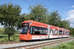 Straßenbahn Mainz / Mainzelbahn: Stadler Rail Variobahn der MVG Mainz - Wagen 222, aufgenommen im August 2017 bei der Bergfahrt zwischen Mainz-Lerchenberg und Mainz-Marienborn.