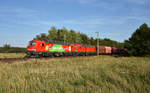 DB Vectron 193 300-1 und 193 332-4 in Doppeltraktion, mit einem Erzzug kommend aus dem Hagenower Land. 3km östlich von Büchen, 16.08.2018.