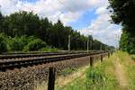 Die Bahnstrecke Hannover–Hamburg (KBS 110) in Höhe Radbruch bei sonnigem Sommerwetter, Blickrichtung Hamburg.