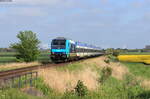 245 203-5 mit dem RE 11020 (Hamburg Altona-Westerland(Sylt)) bei Lehnshallig 29.5.21