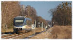 VT 737 (643 409) der Niederbarnimer Eisenbahn verlässt als RB 5169 (RB 26) Herrensee Richtung Küstrin-Kietz auf der Ostbahn.