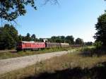 232 395 mit 45440 in Strausberg (19.08.2006)