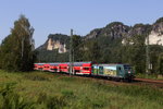 Sbahn nach Schöna mit der Werbelok 146 010  Schloss Wackerbarth  unterwegs.