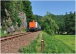 Dieselromantik im Sebnitztal:
Vier Tage Plandiesel auf dem Schsische-Schweiz-Ring sind vorbei. Von Freitag bis Sonntag habe ich tglich vom ersten bis zum letzten Zug alles auf den Sensor gebannt. Jetzt bin ich ordentlich fertig und es gibt einiges an Bildmaterial zu bearbeiten. Es hat sich mehr als nur gelohnt, an allen Tagen herrschte Kaiserwetter und es war die Mhen wert, denn so etwas wird es wohl so schnell nicht wieder geben...
Ein groes Lob auch an die Stdtebahn Sachsen, von dem perfekten Service konnte ich mich bei zwei Mitfahrten selbts berzeugen!
Foto: 212 270-3 rollt am 03.06.2011 um 16:34 Uhr als Zuglok in Hhe des Godorfer Raubschlosses nach Bad Schandau.
