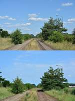 Nur 1 Jahr liegt zwischen diesen Bildern und doch verändert die seit 2004 stillgelegte Kanonenbahn immer wieder ihr Umfeld.