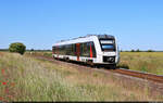 1648 934-5 (Alstom Coradia LINT 41) stark verspätet unterwegs bei Porst (Köthen).

🧰 Abellio Rail Mitteldeutschland GmbH
🚝 RB 80451 (RB50) Aschersleben–Dessau Hbf [+40]
🕓 3.6.2023 | 10:23 Uhr