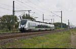 Nachschuss auf 1442 703 (Bombardier Talent 2) als  Dienstfahrt  Richtung Leipzig – aufgenommen nördlich von Halle-Bruckdorf.

🧰 S-Bahn Mitteldeutschland (DB Regio Südost)
🚩 Bahnstrecke Magdeburg–Leipzig (KBS 340)
🕓 29.9.2021 | 13:06 Uhr