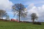 Hier ist schön zu sehen, dass Bäume auf der Modellbahnanlage immer zu klein sind.
620 027 als RB 94411 Meinerzhagen - Dieringhausen bei Meinerzhagen-Güntenbecke am 24.04.2016.