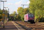 Ein Nachschuss von der 186 383-6 von Akiem und HSL und kamm als Lokzug aus Dillingen(an der Saar) nach Viersen-Gbf(D) und kommt aus Richtung Koblenz und fährt durch Bonn-Oberkassel in Richtung Köln-Gremberg. 
Aufgenommen vom Bahnsteig von Bonn-Oberkassel an der rechten Rheinstrecke. 
Bei Sommerwetter im Oktober am 6.10.2018.