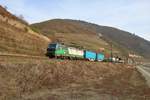 ELL/TX Logistik 193 283-9 mit Containerzug auf der Rechten Rheinstrecke zwischen Assmanshausen und Lorch am 23.02.19