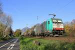 Die Cobra 2819 kommt aus Richtung Köln mit einem langen Kesselzug aus Antwerpen-BASF nach Ludwigshafen-BASF(D) und fährt durch Bad-Honnef(am Rhein) in Richtung Koblenz.
Bei schönem Herbstwetter am Mittag vom 1.11.2015.  
