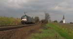 TXL ES 64 U2-096 (MRCE 91 80 6182 596-7 D-DISPO) mit dem TEC 43158 von Verona Quadrante Europa nach Kln Eifeltor, bei Erbach (Rheingau); 30.03.2011