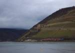 Während rechts oben eine Möwe den Rhein abfliegt, die Schiffe gemäglich über den Rhein treiben, muss eine 152 mit ihrer Albatross Werbung stark abbremsen, da der vor ihr liegende