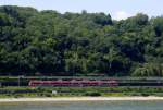 LINT 81 auf der RB 30 Richtung Bonn zwischen Remagen und Oberwinter, aufgenommen von Unkel (rechte Rheinseite) aus, 11.8.15.