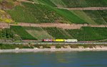 110 169 von DB Systemtechnik mit einem Meßzug am Bopparder Hamm zwischen Spay und Boppard in Richtung Süden am 09.09.16.