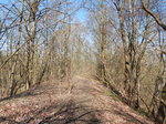 An einigen Stellen ist der Bahndamm der ehemaligen Bergheimer Kreisbahn noch relativ frei. DIe Strecke führte bis Mödrath und wurde am 1. Oktober 1978 stillgelegt und komplett abgebaut.

Horrem 26.03.2016