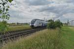 Heckenblitz bei Allerheiligen. Hier in Form des NX 367 der die Spitze eines RE7 nach Münster von Neuss kommend gen Dormagen fährt. 13.6.2018