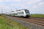 Nachschuss auf 1442 624 und 1442 632 (Bombardier Talent 2) der S-Bahn Mitteldeutschland als verspätete S 37336 (S3) von Geithain nach Halle(Saale)Hbf, die bei Benndorf auf der Bahnstrecke Magdeburg–Leipzig (KBS 340) fährt. [25.5.2017 - 14:52 Uhr]