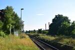 Blick auf die verwilderten Bahnsteige des ehemaligen Haltes Reuden.