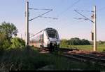 9442 119 (Bombardier Talent 2) von Abellio Rail Mitteldeutschland als RB 74828 (RB20) von  Halle(Saale)Hbf nach Weißenfels passiert die Steinlache bei Kollenbey auf der Bahnstrecke