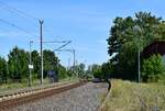 Blick auf die traurigen Überreste des einstigen Bahnhofs Reinsdorf bei Artern. Einst war hier ein Gleisdreieck zur Strecke nach Nebra. Das zweite Streckengleis Richtung Sömmerda wurde abgebaut und der Bahnsteig stillgelegt. Ebenfalls ist die Strecke nach Nebra seit 2006 ohne Personenverkehr und auch dort holt die Natur sich die Gleise und den Bahnsteig zurück. Seit 2015 wird Reinsdorf nur nochin den Morgen und Abendstunden bedient.

Reinsdorf 30.07.2020