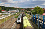 Mit dem Fahrrad von Kassel nach Halle (Saale) | Tag 2 Witzenhausen–Gernrode-Niederorschel
Strecken-km: 155,1

9442 301 (Bombardier Talent 2) trifft verspätet auf Gleis 1 des Bahnhofs Heilbad Heiligenstadt ein.

🧰 Abellio Rail Mitteldeutschland GmbH
🚝 RE 74706 (RE9) Halle(Saale)Hbf–Kassel-Wilhelmshöhe [+15]
🕓 16.8.2022 | 13:24 Uhr