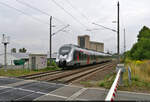 Mit dem Fahrrad von Kassel nach Halle (Saale) | Tag 5 Blankenheim–Zscherben  Strecken-km: 38,6    9442 309 (Bombardier Talent 2) verlässt am Bahnübergang Wolferöder Weg die