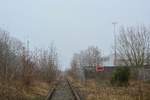 Im Bahnhof Höhn hat sich die Natur in den 18Jahren nahe zu alles zurück geholt, doch man arbeitet auch hier daran die Gleise wieder zu befreien um die Draisinenstrecke von Rennerod bis Westerburg zu verlängern. Hier wird es noch lange dauern da hier in den 18Jahren fast schon ein kleiner Wald entstanden ist. Blick in Richtung Fehl-Ritzhausen

Höhn 17.12.2016