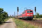 Eine der letzte überlebende n-Wagenzug im Rhein-Neckar-Raum ist ein Zugpaar auf der RB Linie Mannheim - Karlsruhe. Am 20.06.2018 ist 111 042 bei Waghäusel in Richtung Karlsruhe unterwegs.