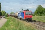 482 012-2 mit einem Kesselzug am Nachmittag des 12.06.13 bei Bad Krozingen.