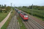 185 595-6 mit dem TTS-Containerzug gen Sden am Nachmittag des 28.09.13 in der nrdlichen Einfahrgruppe des Bahnhofs Mllheim (Baden).