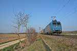 185 525-3 mit einem KLV-Zug gen Süden am Nachmittag des 08.03.14 süldich von Hügelheim.