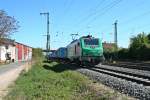 437023 stand am Vormittag des 17.04.14 mit dem DGS 40424 von Malaszewicze nach Bantzenheim  im Bahnhof Müllheim (Baden) auf Gleis 13.