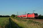 146 231-6 mit der RB 26586 von Schliengen nach Freiburg (Breisgau) Hbf am Abend des 05.06.14 bei Buggingen.