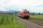 101 075-0 mit dem EC 8 von Zrich HB nach Hamburg-Altona am Mittag des 08.08.14 sdlich von Kollmarsreute.